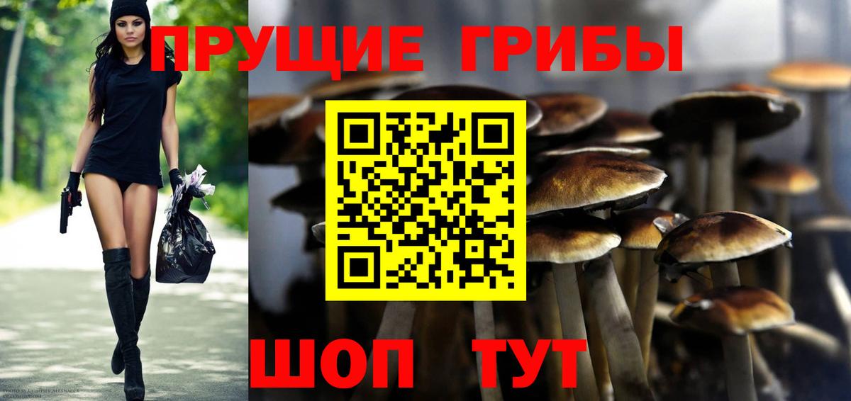 Галлюциногенные грибы мицелий  Псилоцибиновые грибы ЛСД  Сызрань  Вход с VPN 